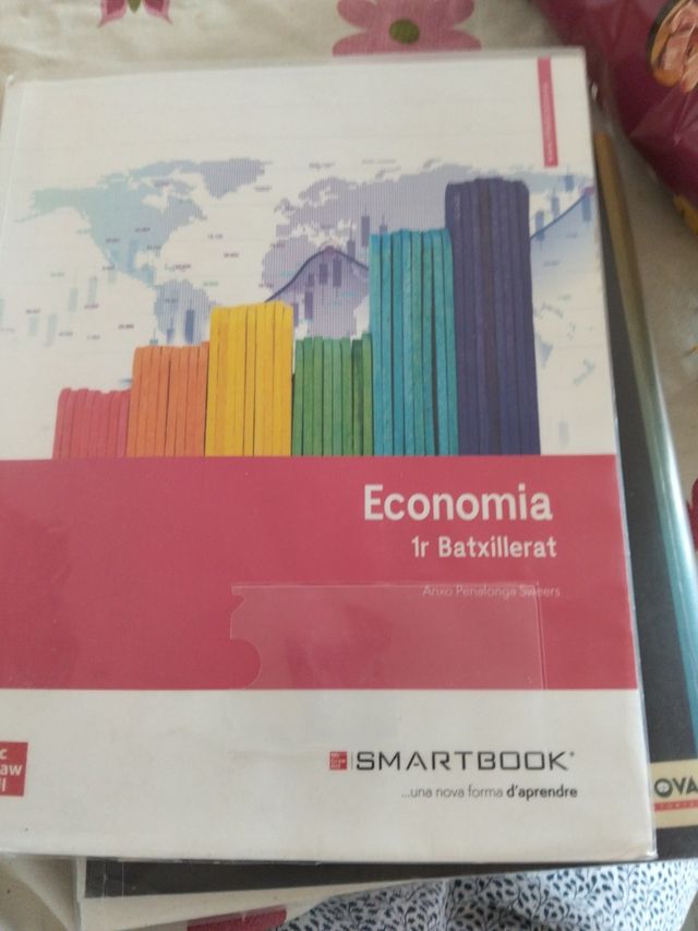 Economia 1°batxillerat