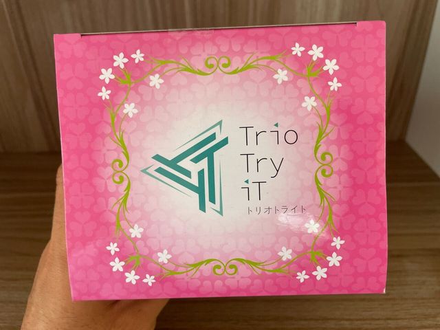 Statua Re Zero Trio Try It Ram Flower Dress