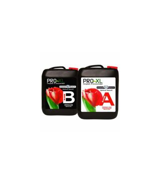 BLOOM A+B 1L - 5L - 10L - 20L PRO-XL