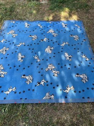 Alfombra dalmatas