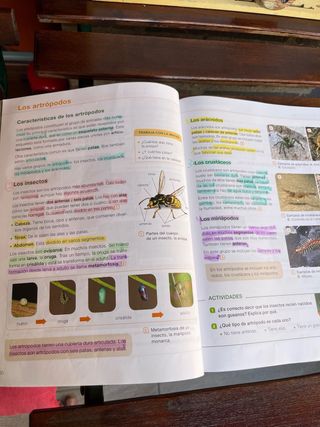 Ciencias de la naturaleza 4º primaria Santillana