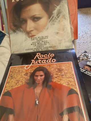 Vinilos LP lote folclóricas de España