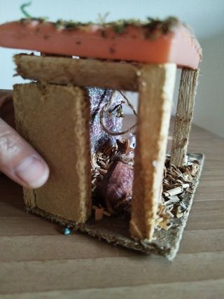 Stalla presepe