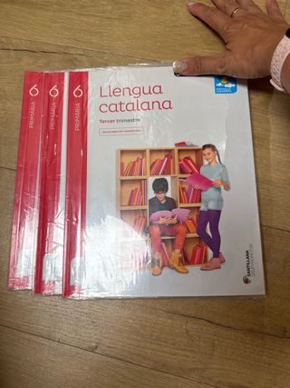 Llengua Catalana. 9788491303077