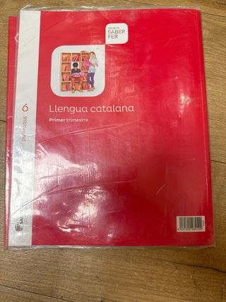 Llengua Catalana. 9788491303077