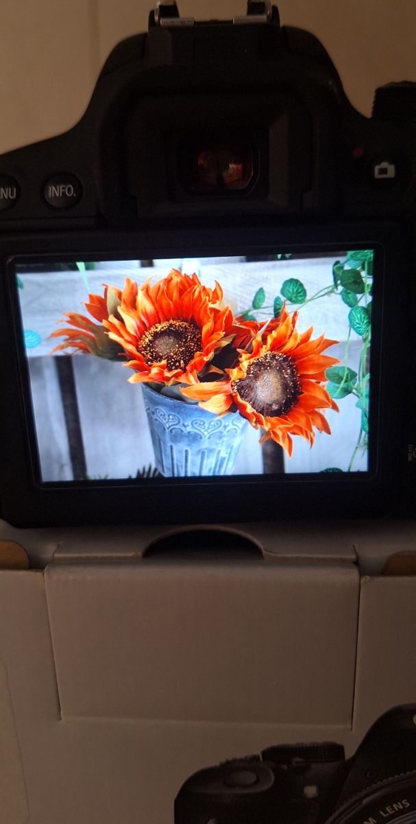 CAMARA CANON REFLEX EOS 7OOD