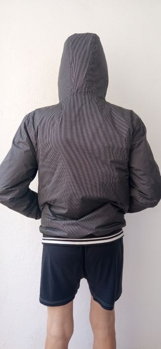 Plumifero