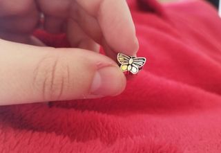Charm mariposa