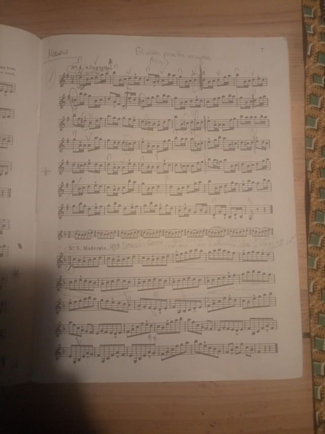 Libro Wolfhahrt op.45