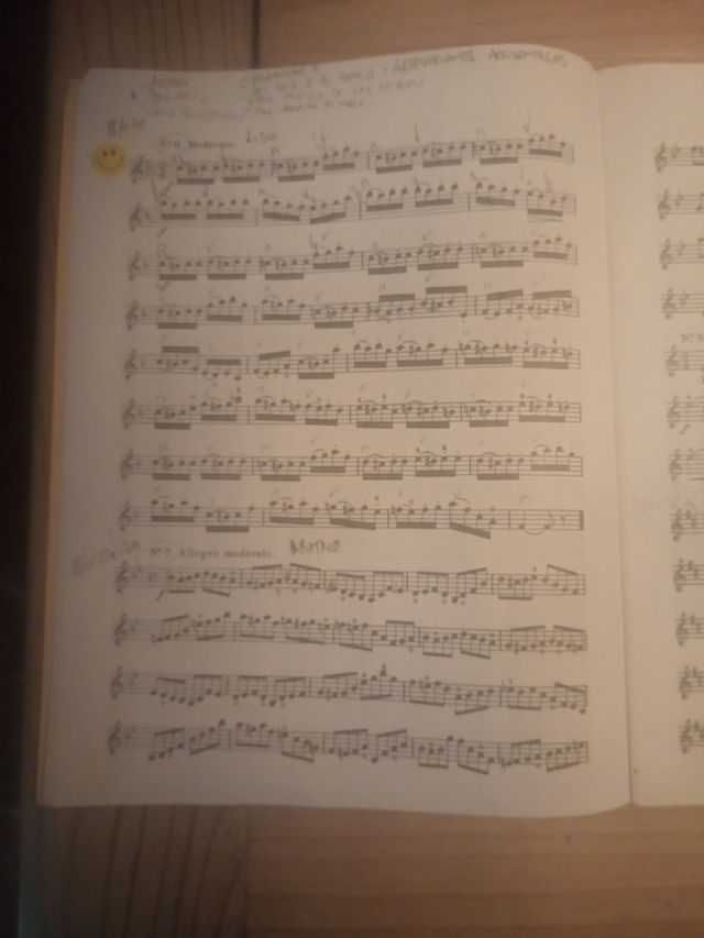 Libro Wolfhahrt op.45