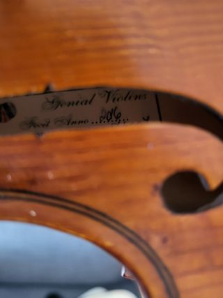 VIOLIN SPECIAL 2016 OFERTA