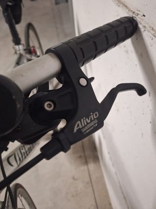 Bicicletta Wilier Triestina