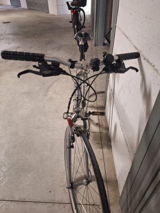 Bicicletta Wilier Triestina