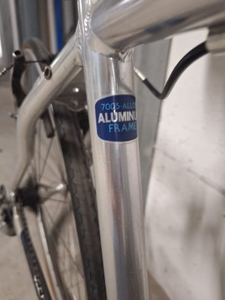 Bicicletta Wilier Triestina