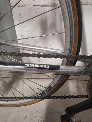 Bicicletta Wilier Triestina