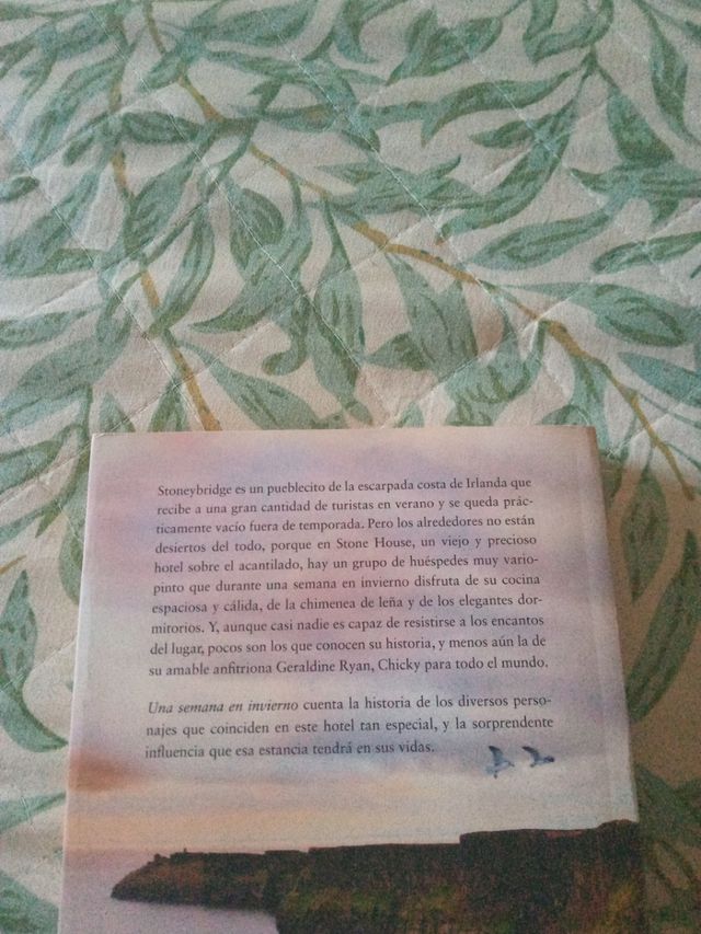 Una semana en invierno 