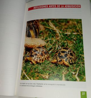 Guia de las tortugas
