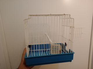 Jaula azul aves