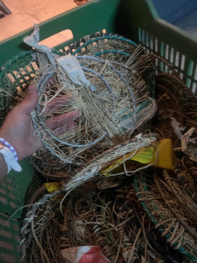 Reteles de cangrejos 