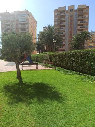 Mantenimiento de jardines y piscinas
