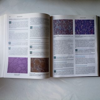 Patologia estructural