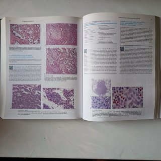 Patologia estructural