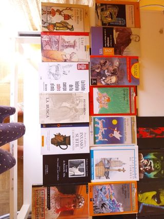 Libros de lectura obligatoria