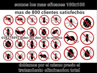 eliminacion plagas 100 x 100 eficaz cucarachas etc