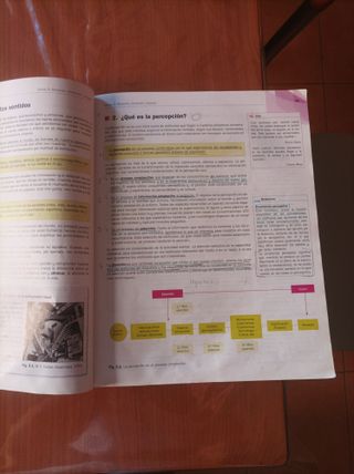 Libro psicología 2 bachillerato