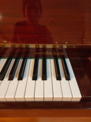 Piano vertical