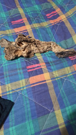 RAICES DE OLIVO Y TRONCOS PARA TERRARIO/ACUARIO