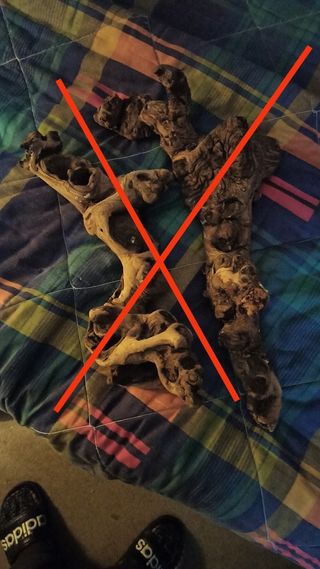 RAICES DE OLIVO Y TRONCOS PARA TERRARIO/ACUARIO