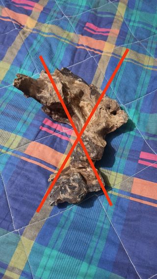 RAICES DE OLIVO Y TRONCOS PARA TERRARIO/ACUARIO