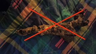 RAICES DE OLIVO Y TRONCOS PARA TERRARIO/ACUARIO