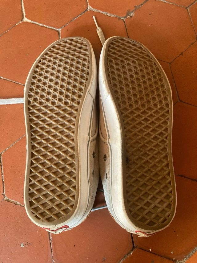 Zapatillas vans skate