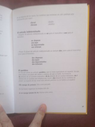Diccionario francés principiantes