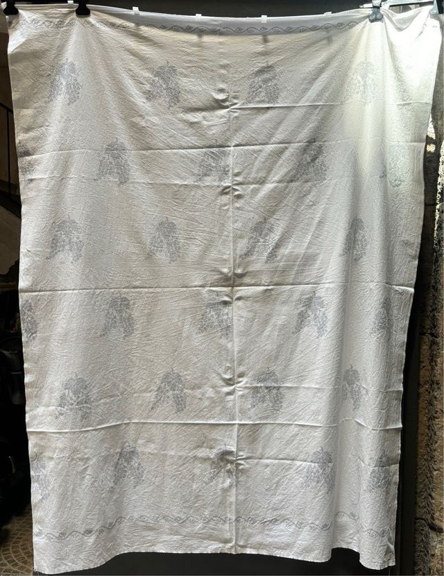 4 tende da veranda per roulotte marca Nova