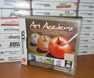 ACCADEMIA D'ARTE NINTENDO DS