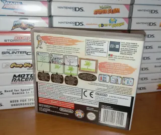 ACCADEMIA D'ARTE NINTENDO DS