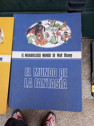 Libros Walt Disney