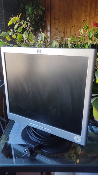 Monitor ordenador HP