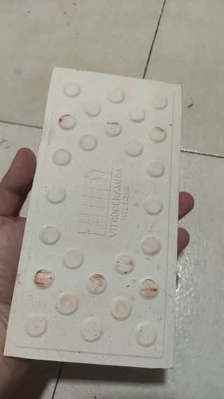 Precioso Azulejo planta 21.6x10.9cm