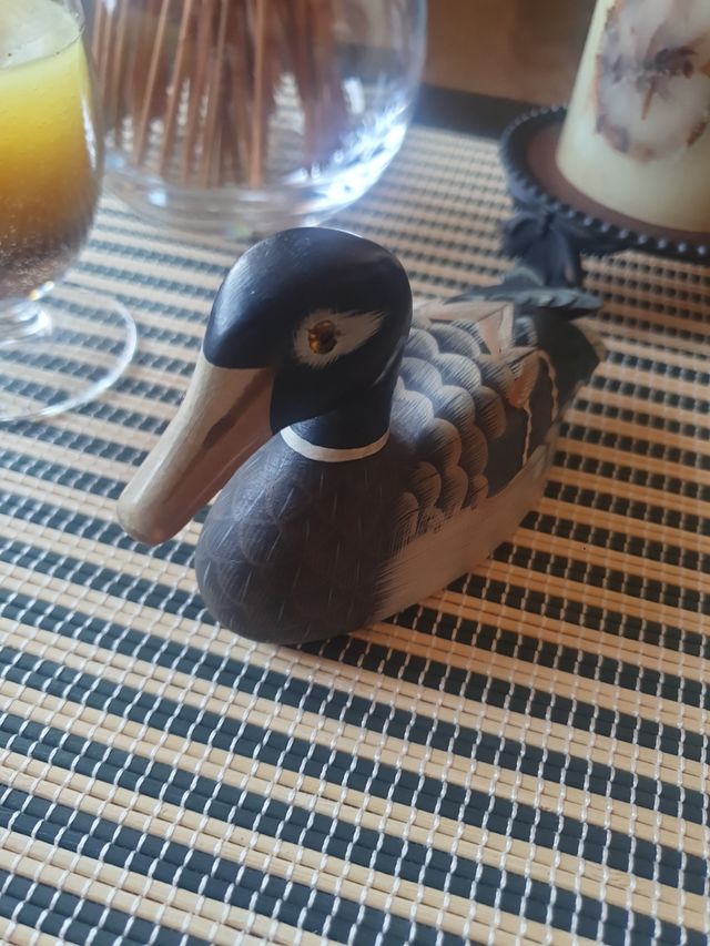 Pato madera