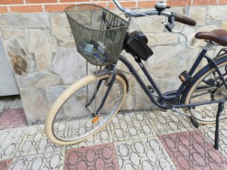 Bicicleta paseo