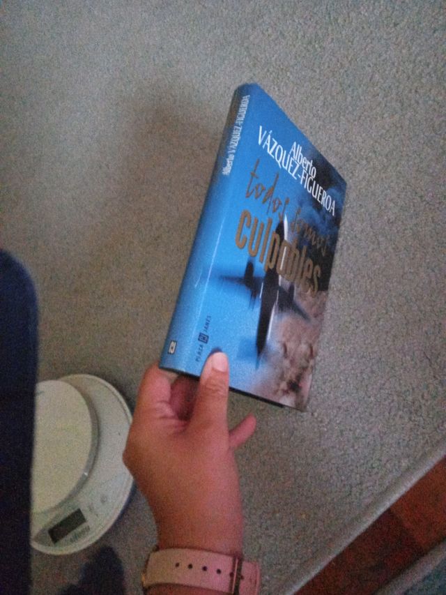 Todos somos culpables 