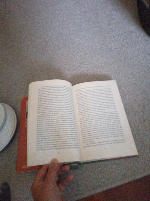 Amistad de David Pesci 