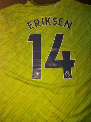 Camiseta versión jugador