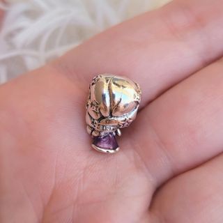 CHARM DISNEY RAPUNZEL PRINCESA