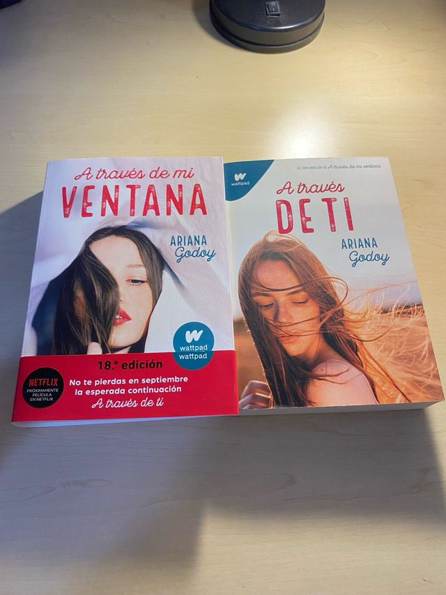 Libro a traves de mi ventana