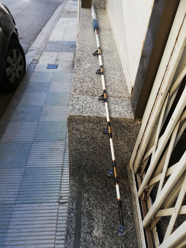 Conjunto caña y Carrete Tora 50 libras